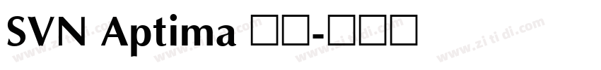 SVN Aptima 常规字体转换